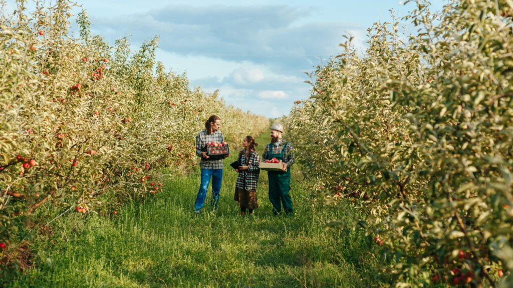 Zuid-Holland investeert 2 miljoen in biologische en natuur inclusieve landbouw