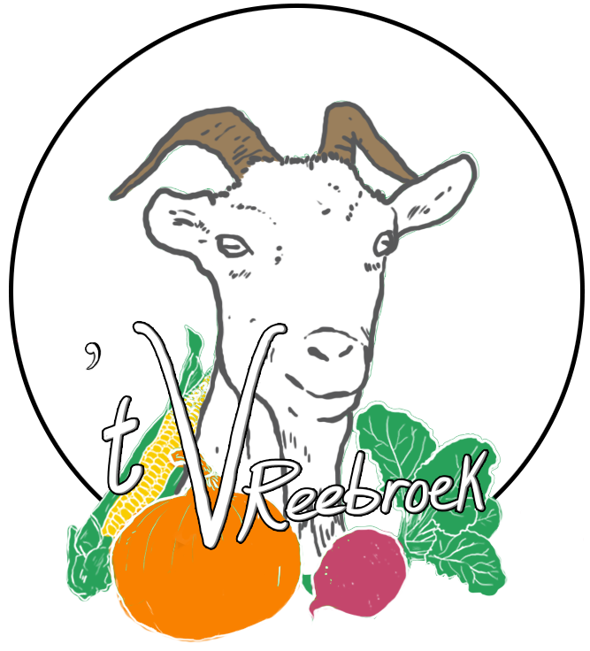 't Vreebroek
